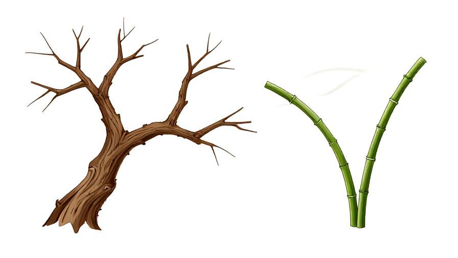 Illustration of a stiff, rigid tree branch contrasted with a flexible bamboo stalk bending in the wind